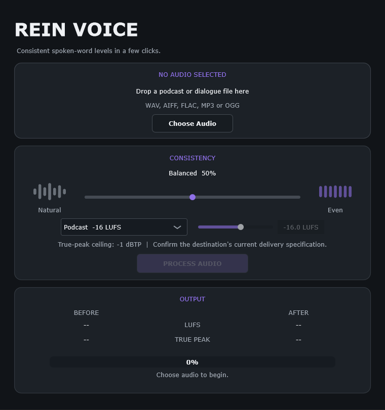 REIN Voice interface screenshot